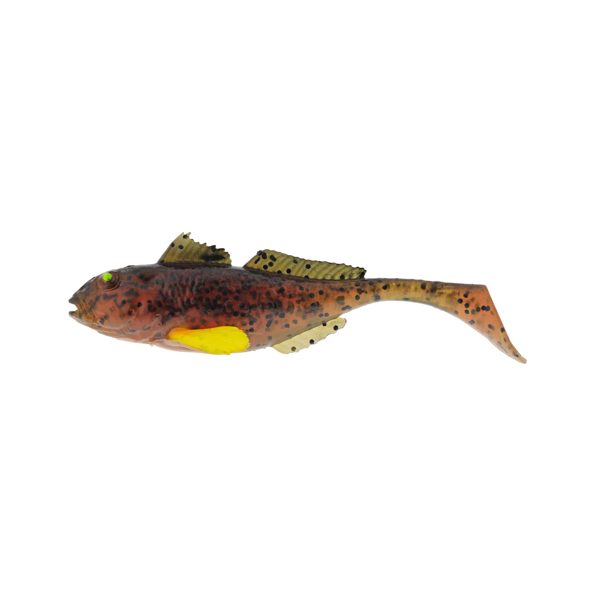 Gunnar The Goby Shadtail