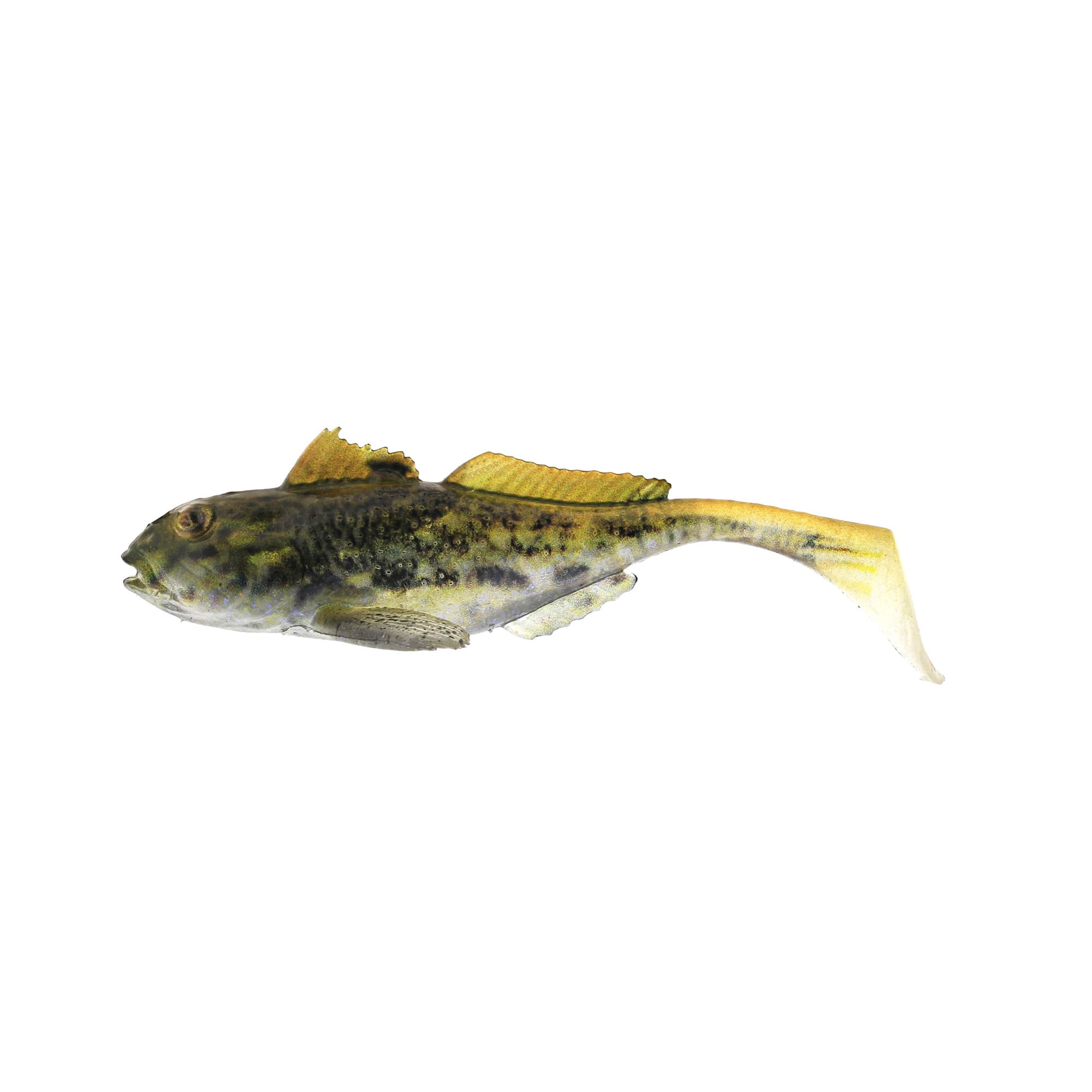 Gunnar The Goby Shadtail
