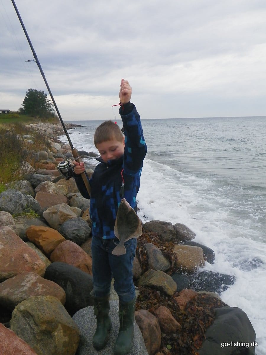 Standard Fladfiske Forfang