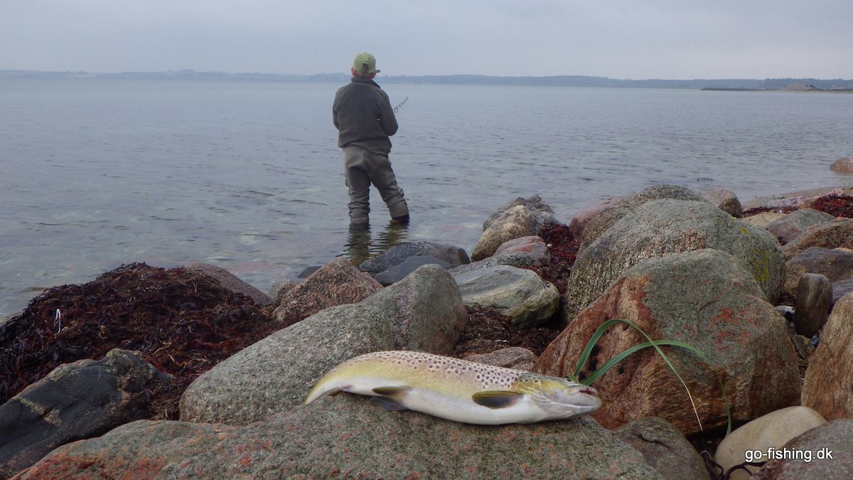 117 Fine Fynske Fiskepladser