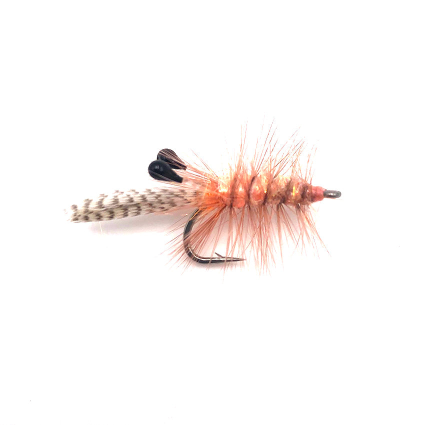Mri - Cdl Shrimp