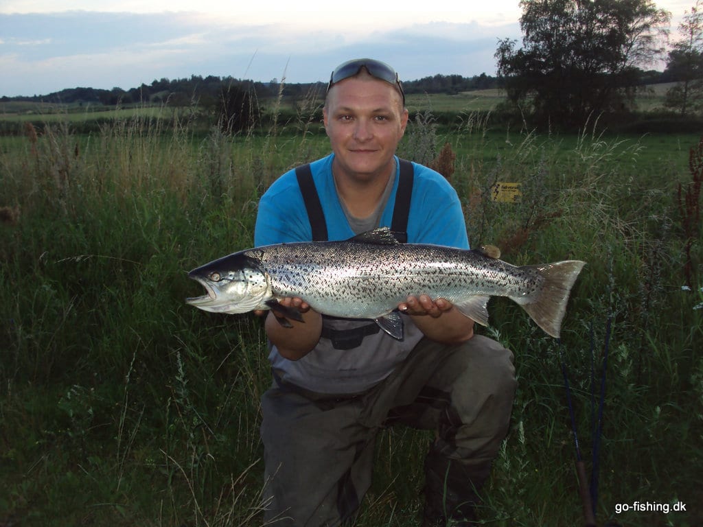 Bulefluen-til-Havørreder-i-Åen