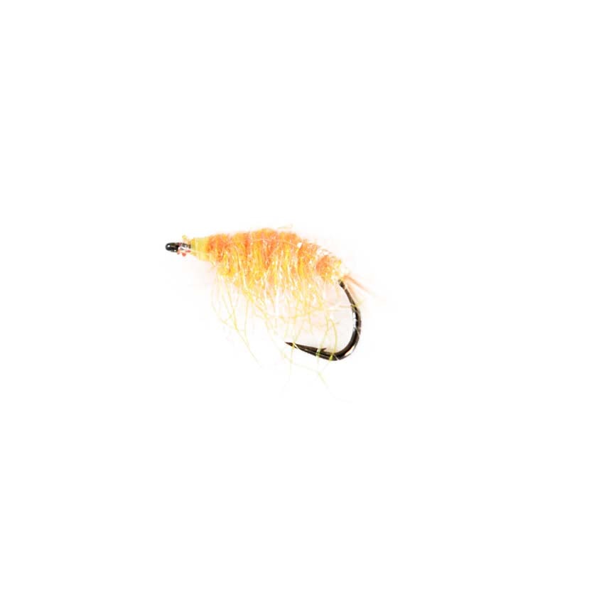 Moby Dick Tangloppen -luksus Kystflue