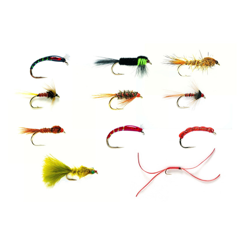 Must Have Nymfe Kit