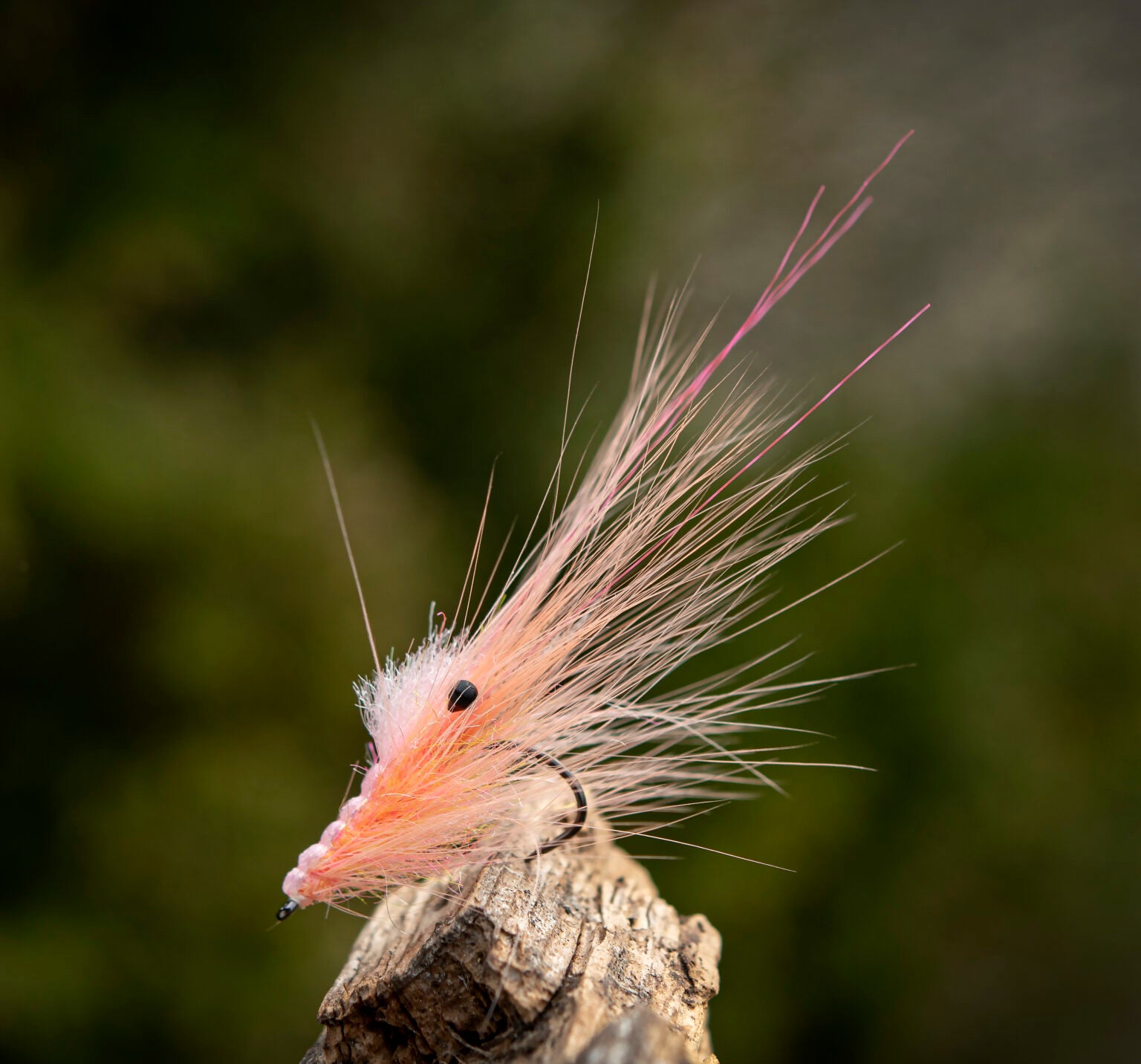 Spey Rooster Cape - Fluo. Salmon