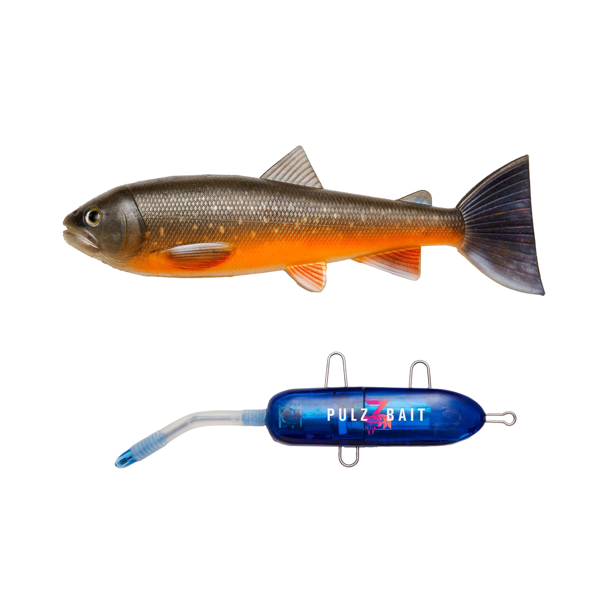 Starter Kit - Trout