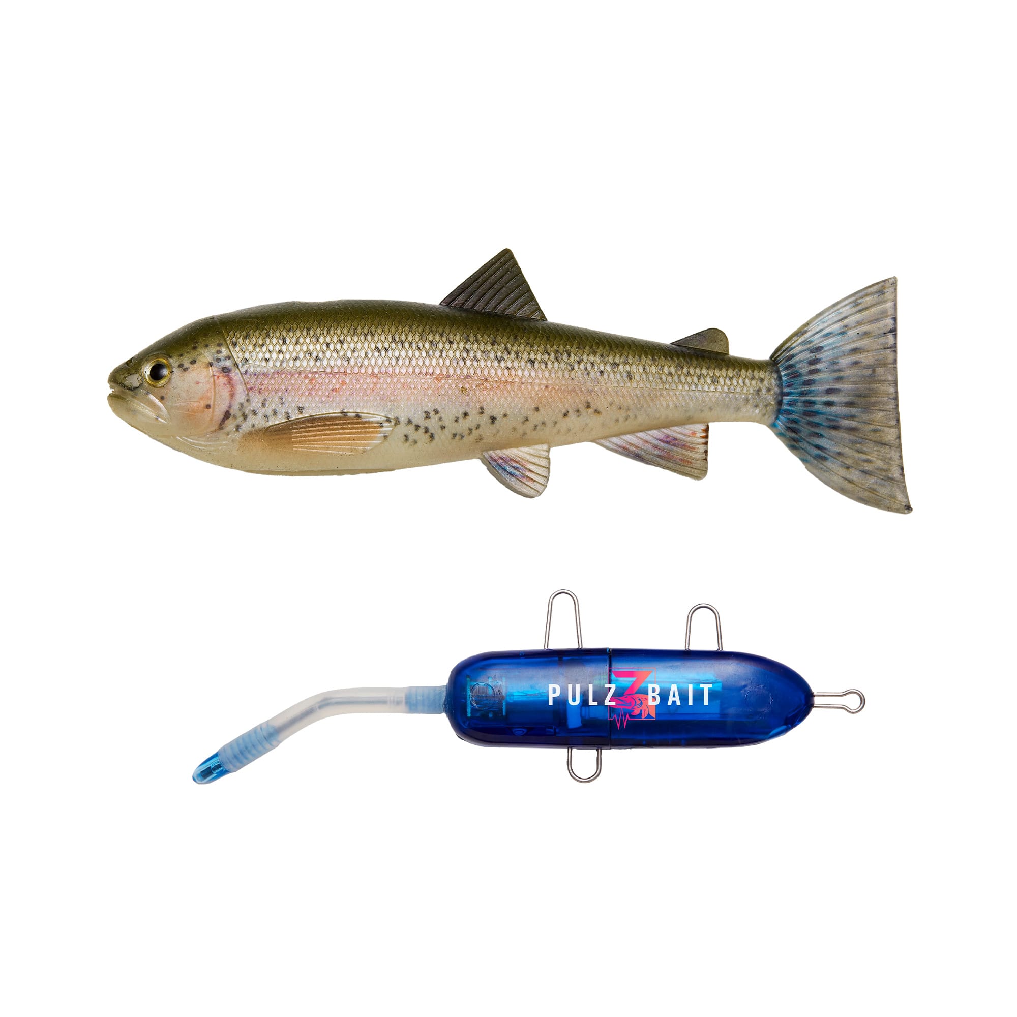 Starter Kit - Trout