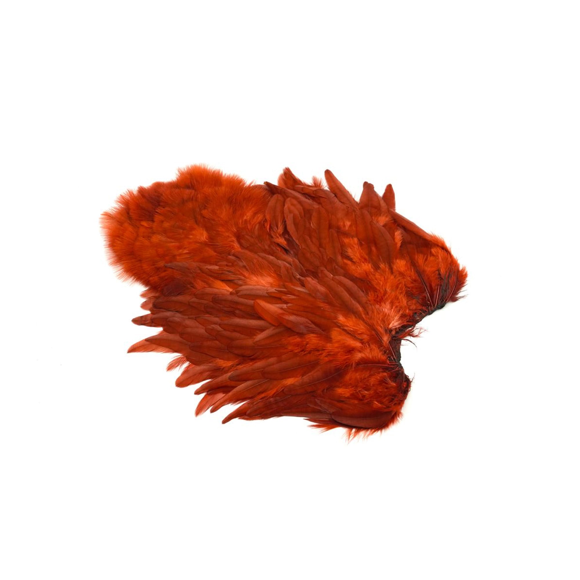 Rooster SH/C Soft Hackles With Chickabou