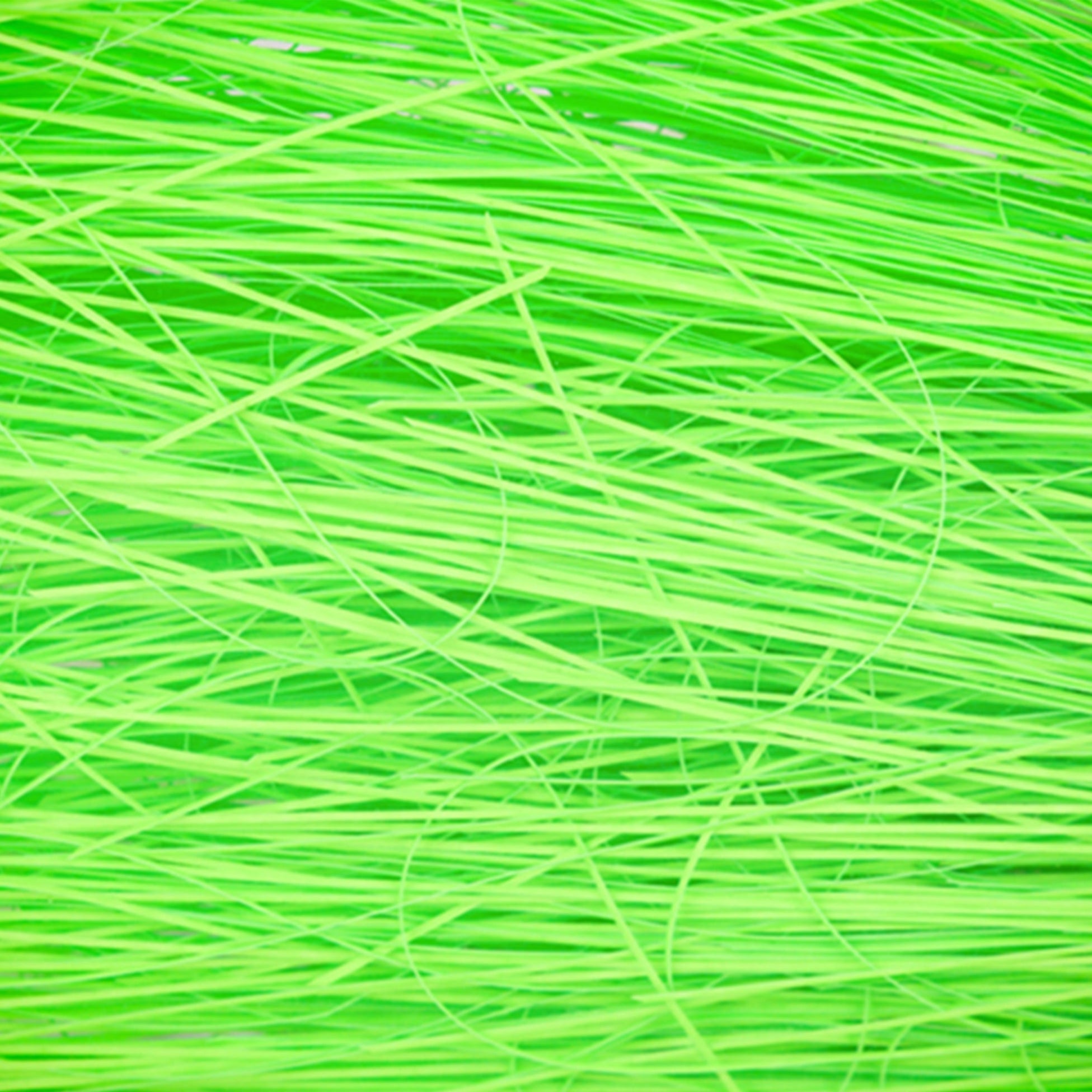 SALTWATER ELECTRIC WING HAIR