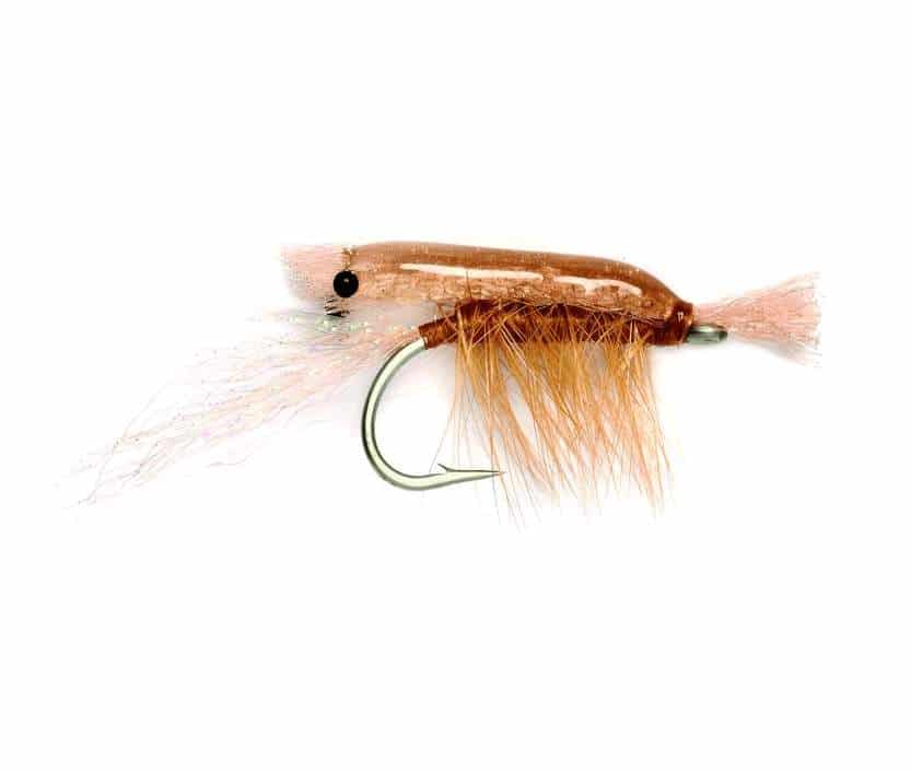ultra shrimp tan