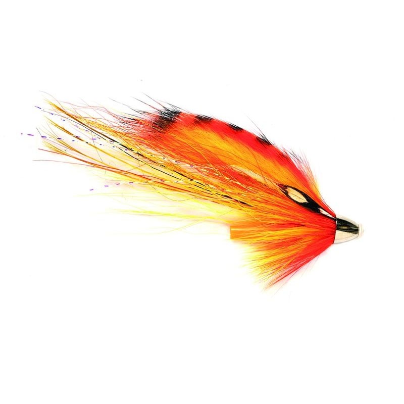 Skjern-Å-Tiger-flies