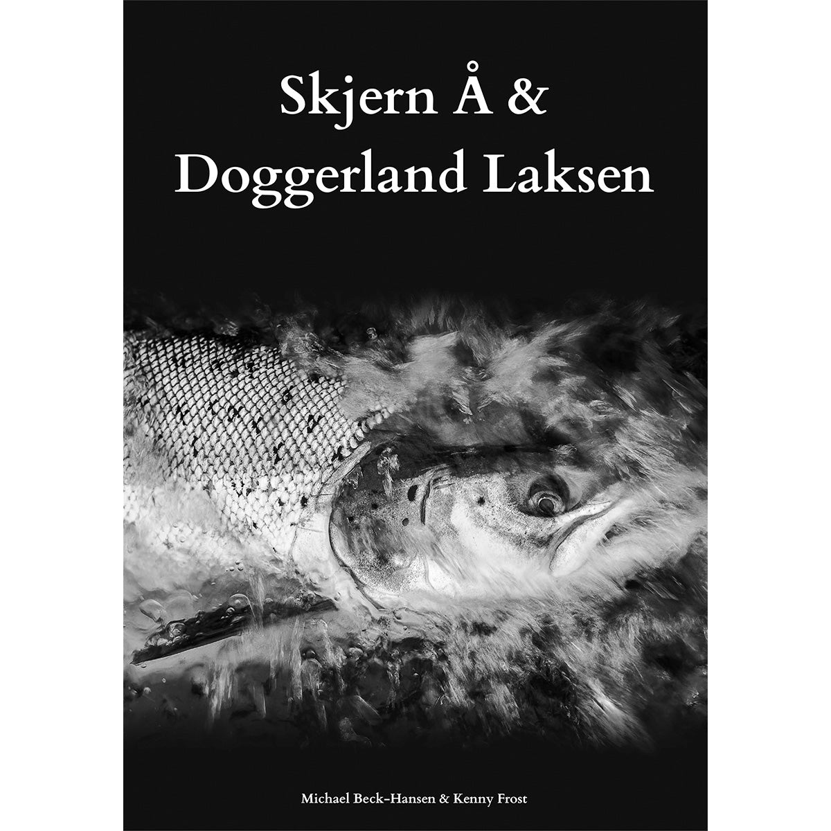 Skjern Å og Doggerland Laksen