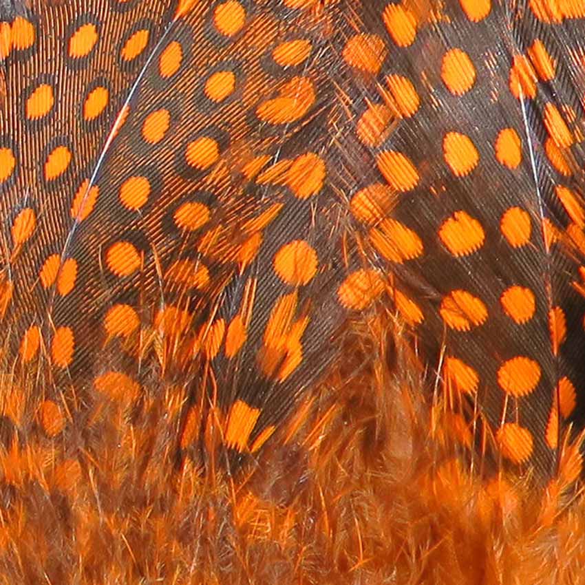 Strung Guinea Feathers - Perlehøne Hackler