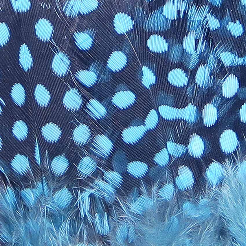 Strung Guinea Feathers - Perlehøne Hackler