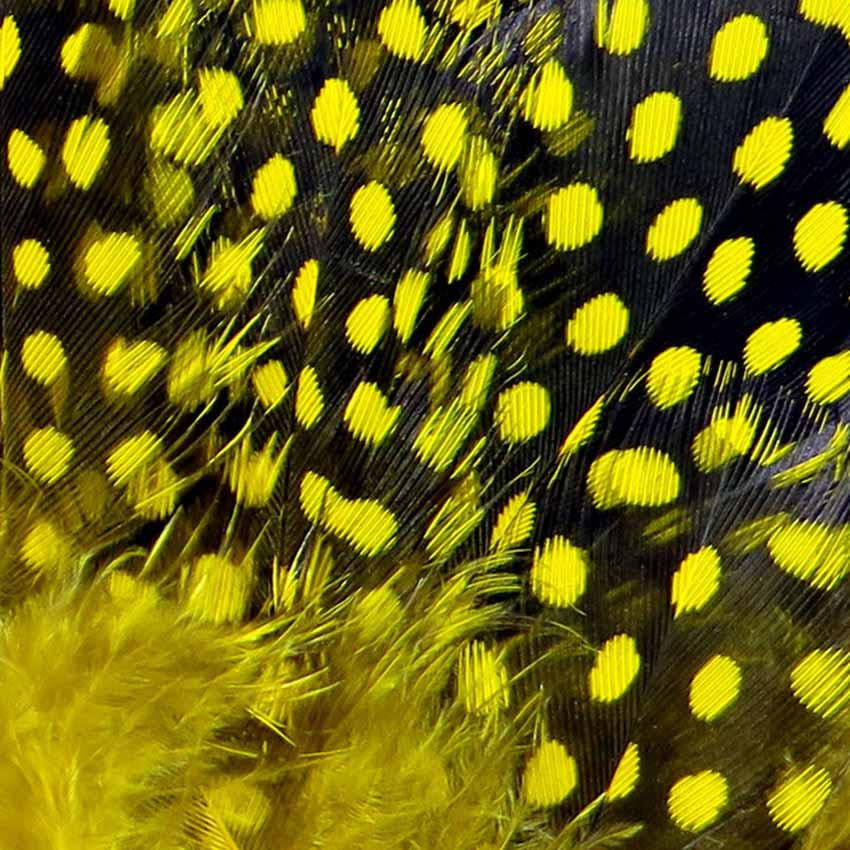 Strung Guinea Feathers - Perlehøne Hackler