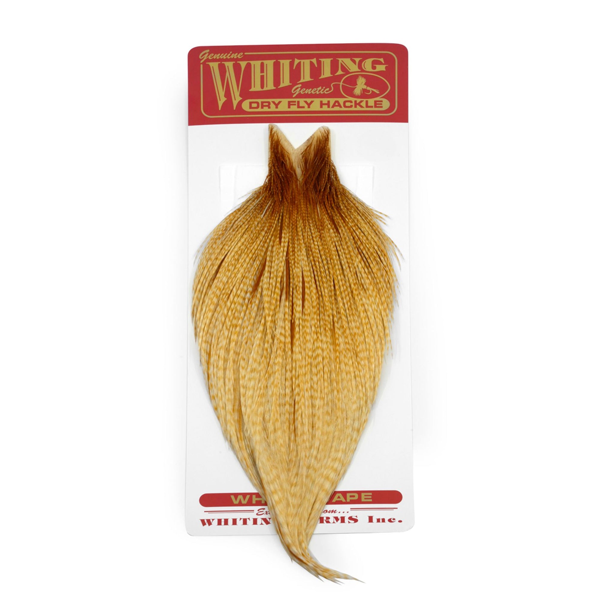 Whiting Commercial Cape - Flotte hanenakker