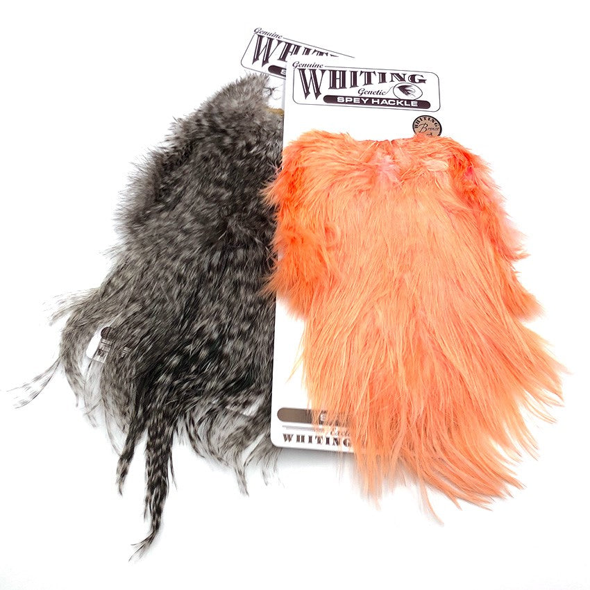 Spey Hackle Rooster Saddles - Bronze Grade