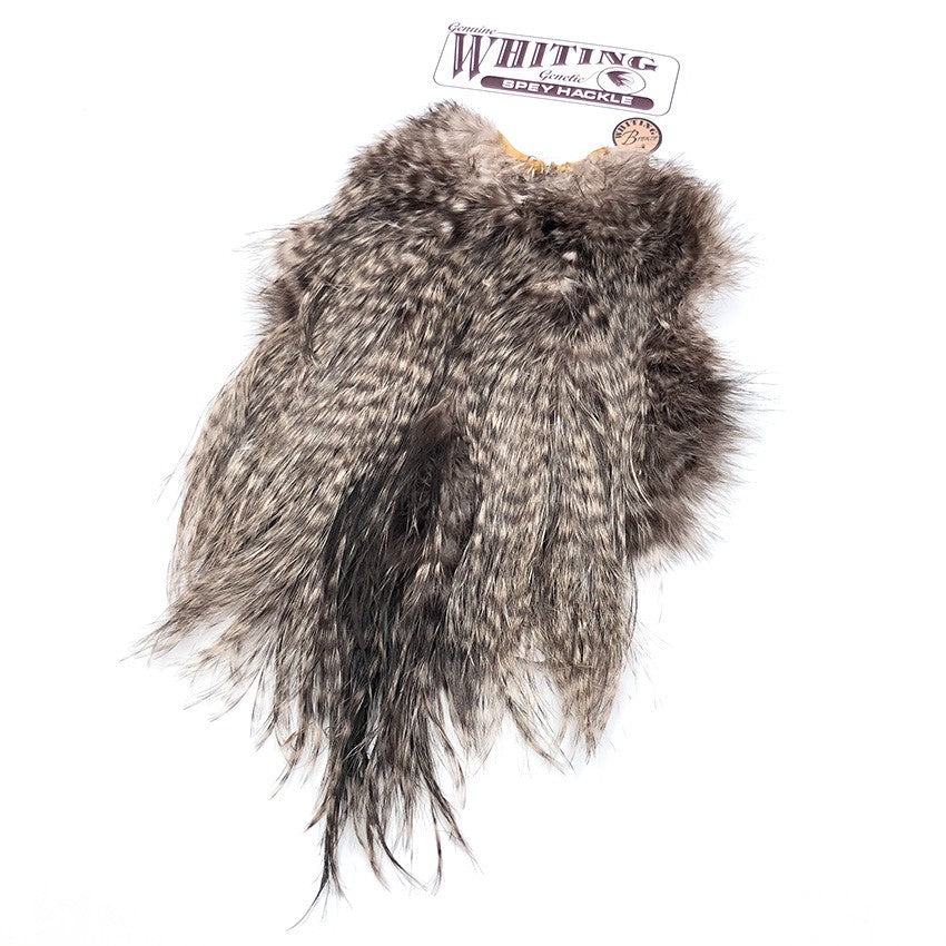 Spey Hackle Rooster Saddles - Bronze Grade