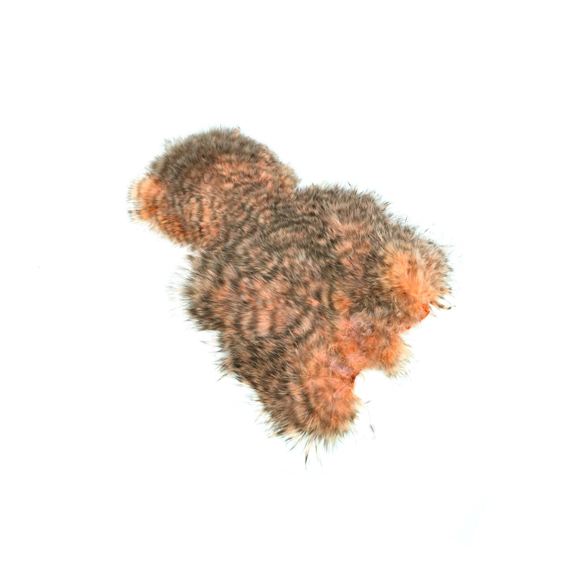 Spey SH/C White Grizzly Salmon