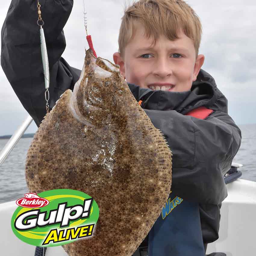 Alive!® Néréïs - Børsteorme