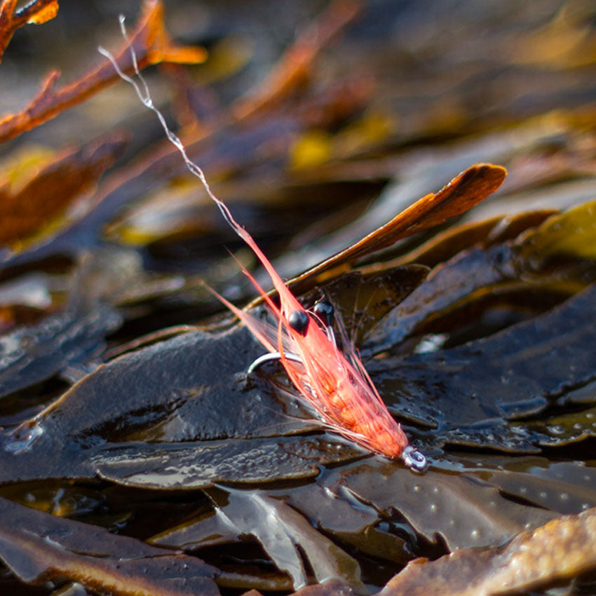 Ns150 - Curved Shrimp