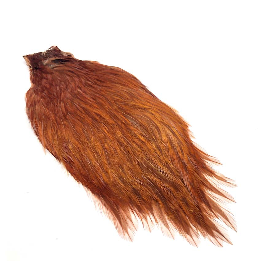 Chinese Cock Cape - Flotte Hane Nakker