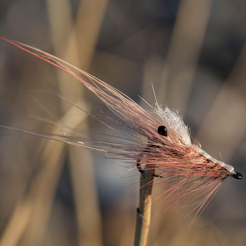 Ns150 - Curved Shrimp