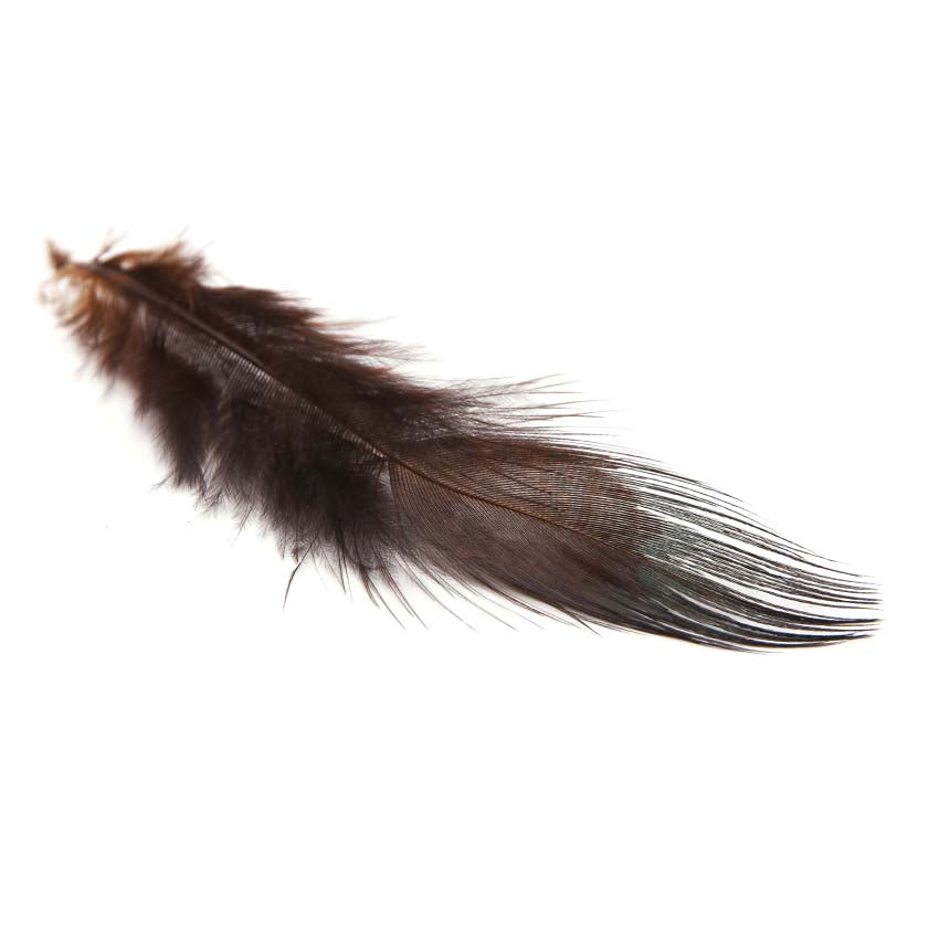 Fasan Ringneck Rump Hackle