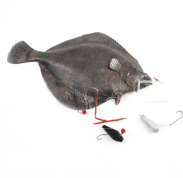 Standard Fladfiske Forfang