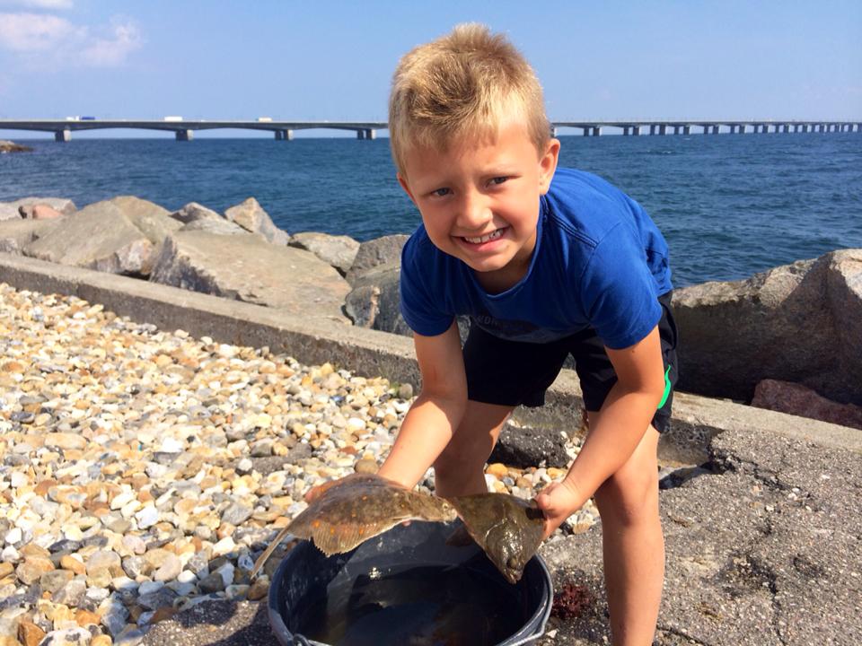 Luksusforfang Til Fladfisk