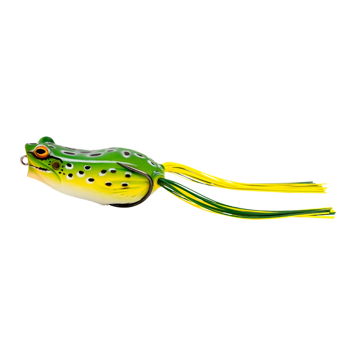 Hop Popper Frog
