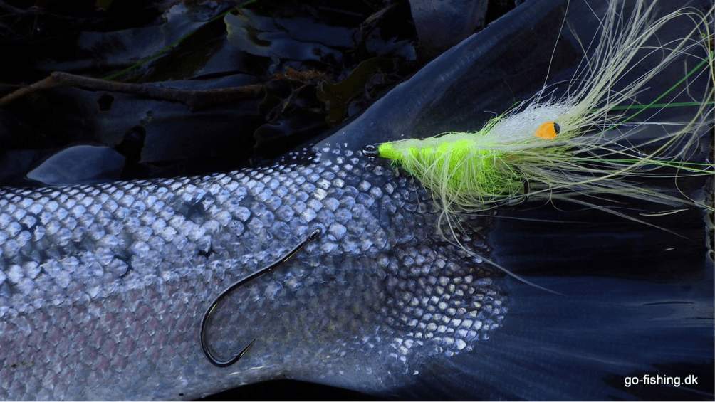 Ns150 - Curved Shrimp