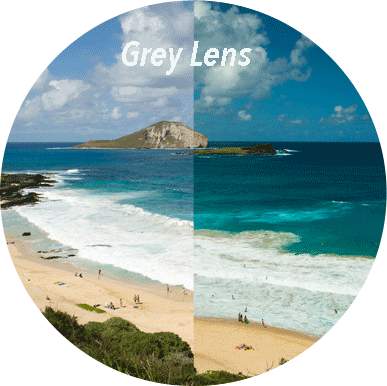 Banyans Solbrille