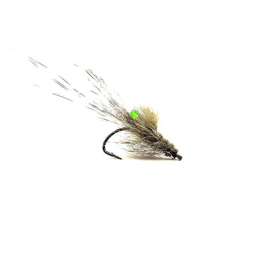 Pattegrisen Olive # 8 - Limited Edition!