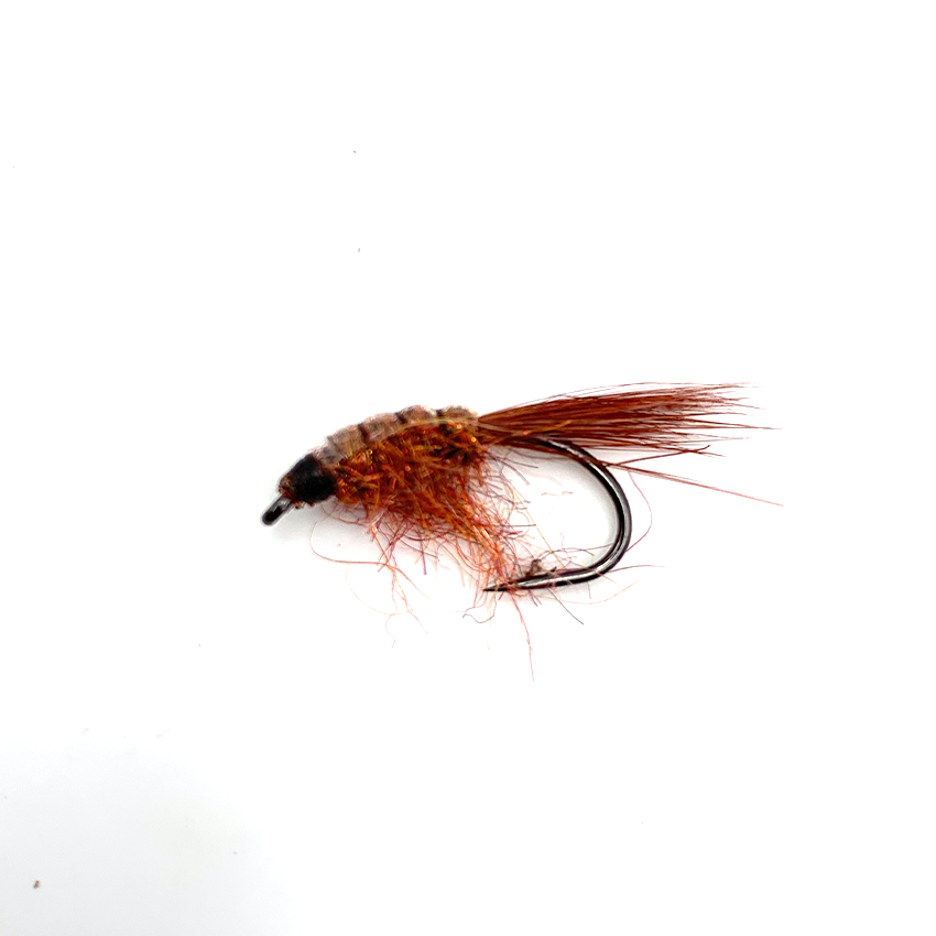 Moby Dick Tangloppen -luksus Kystflue