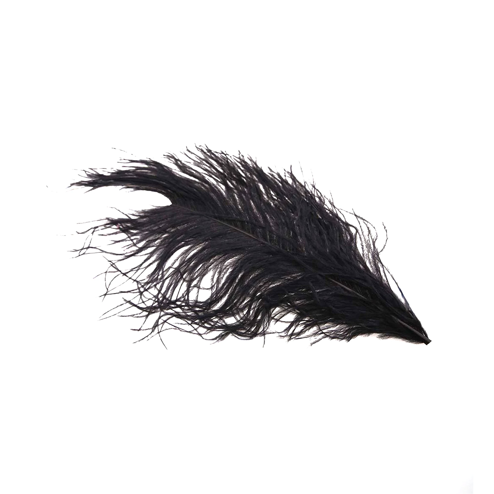 Ostrich Hearl