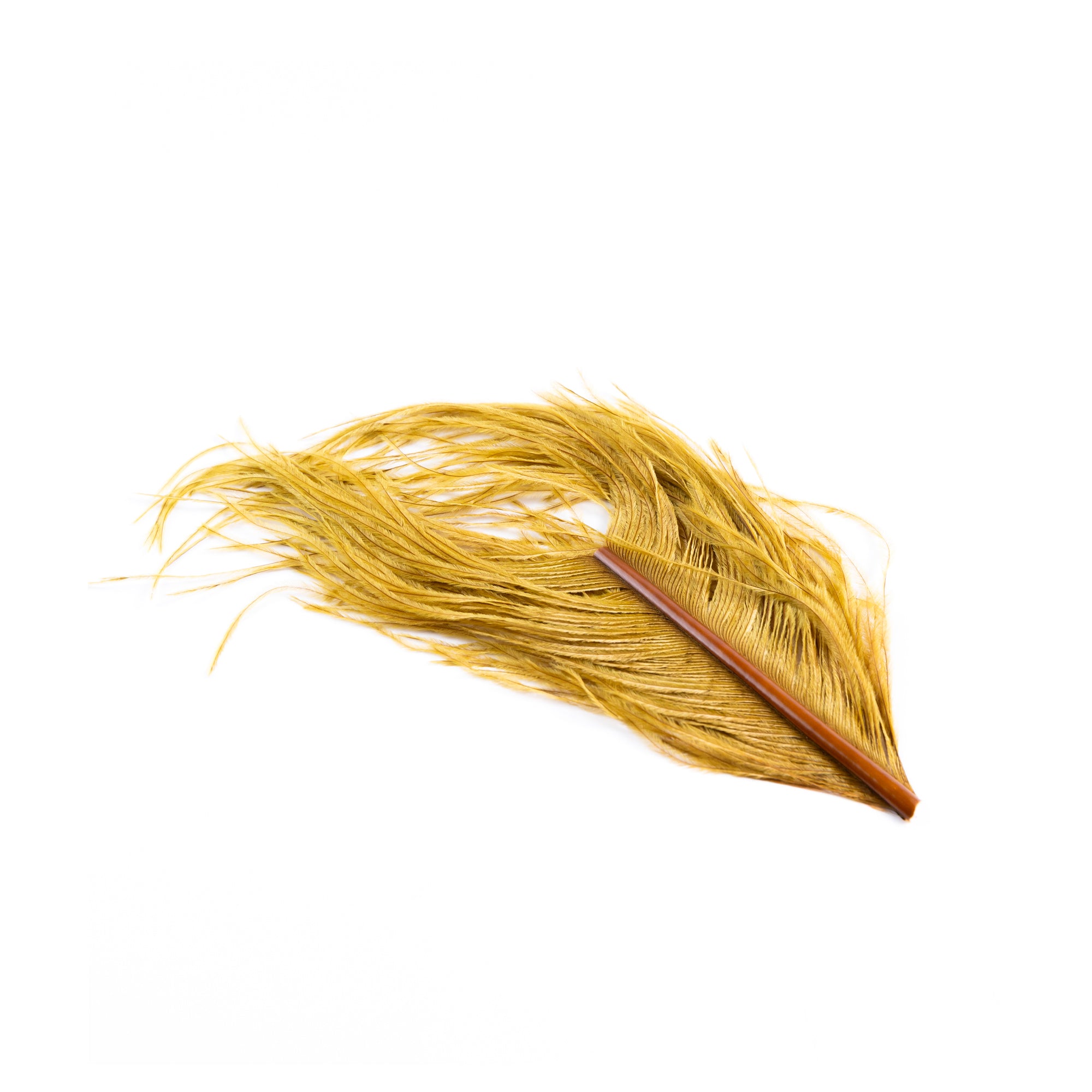 Ostrich Hearl