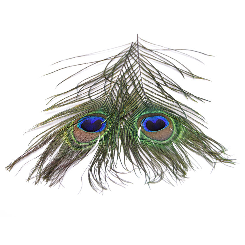 Påfugle Øjefjer - Peacock Eye Top Feather