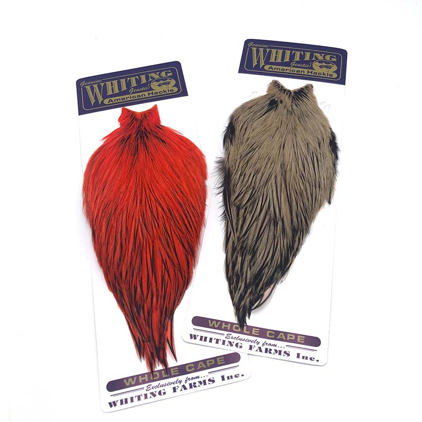 American Rooster Capes - Whiting Hane Badger Nakker