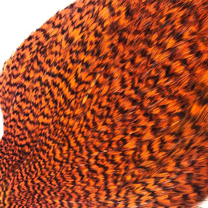 American Rooster Capes - Whiting Hane Nakker
