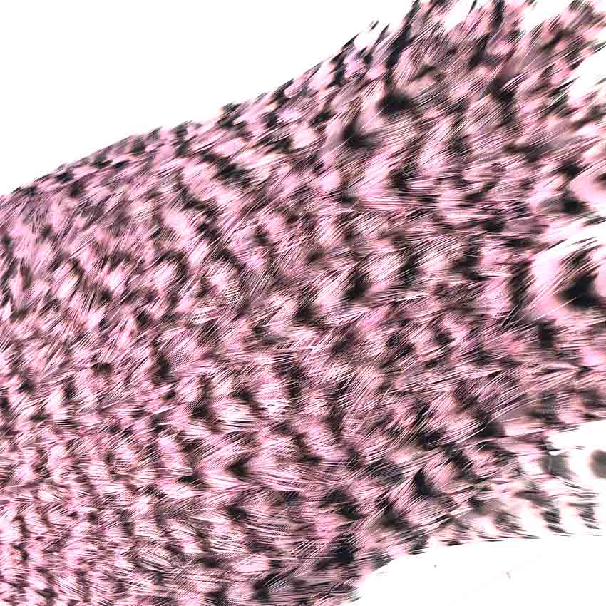 American Rooster Capes - Grizzly