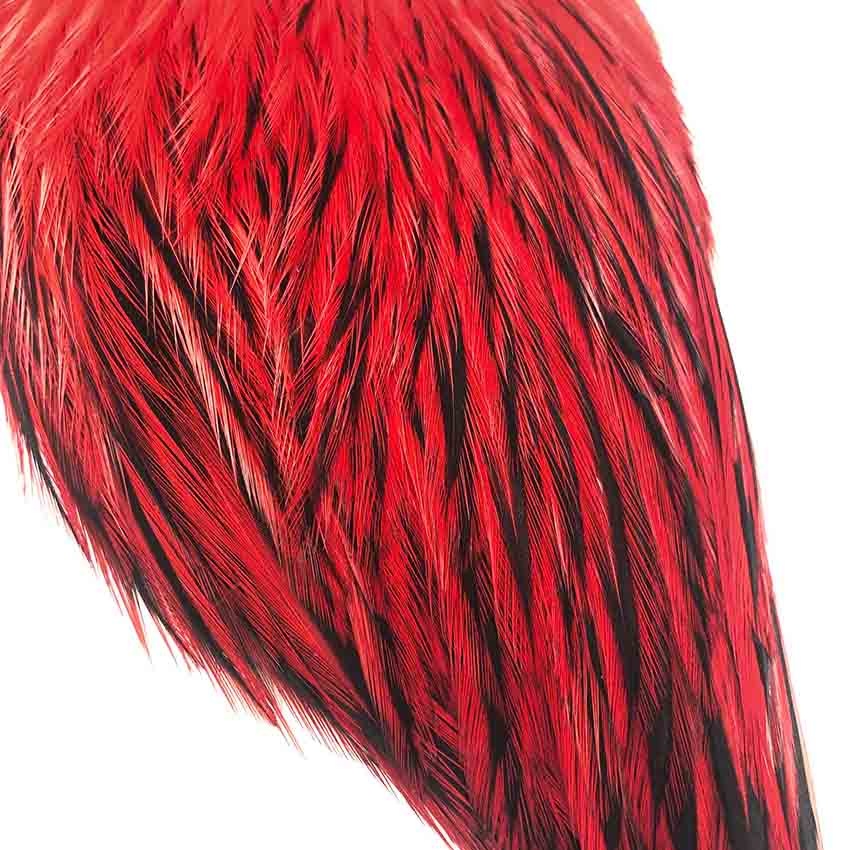 American Rooster Capes - Whiting Hane Badger Nakker