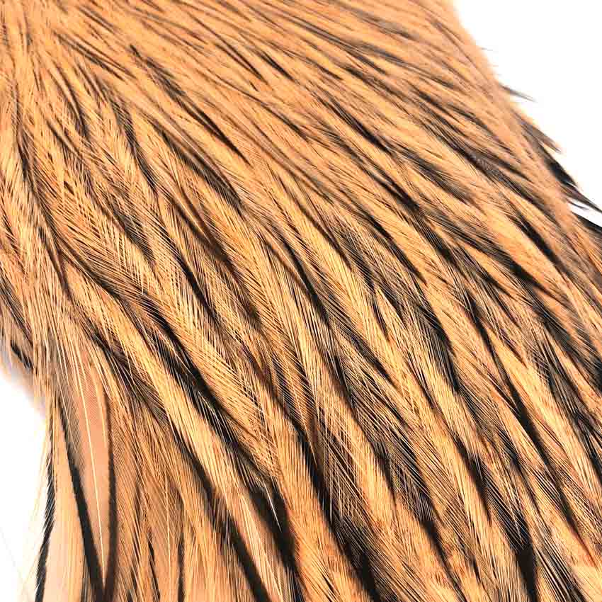 American Rooster Capes - Whiting Hane Badger Nakker