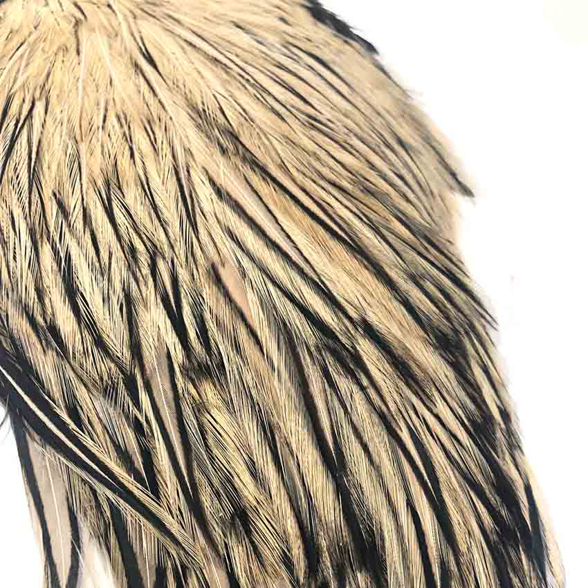 American Rooster Capes - Whiting Hane Badger Nakker