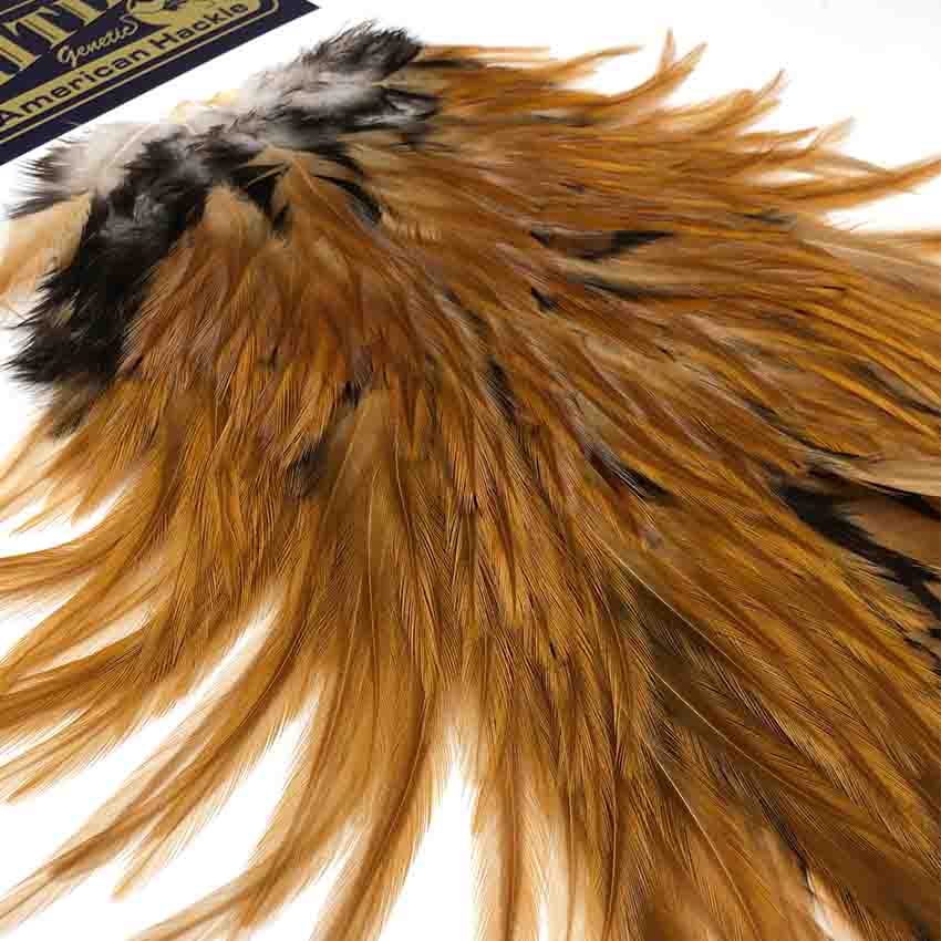 American Rooster Saddle