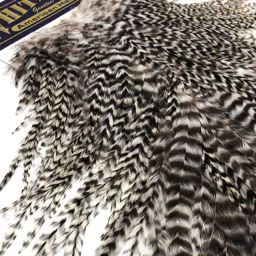 American Rooster Saddle