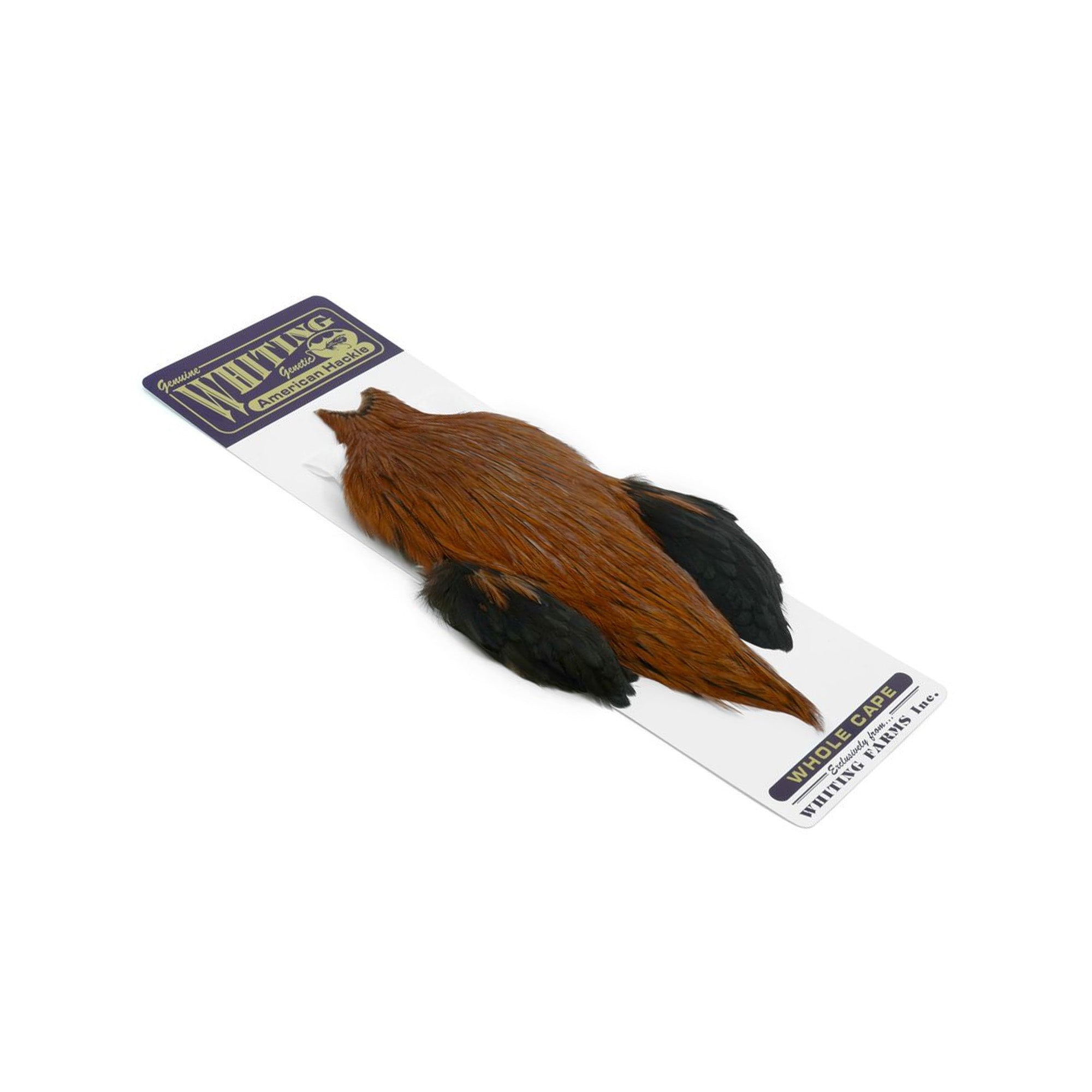 American Rooster Cape - Badger