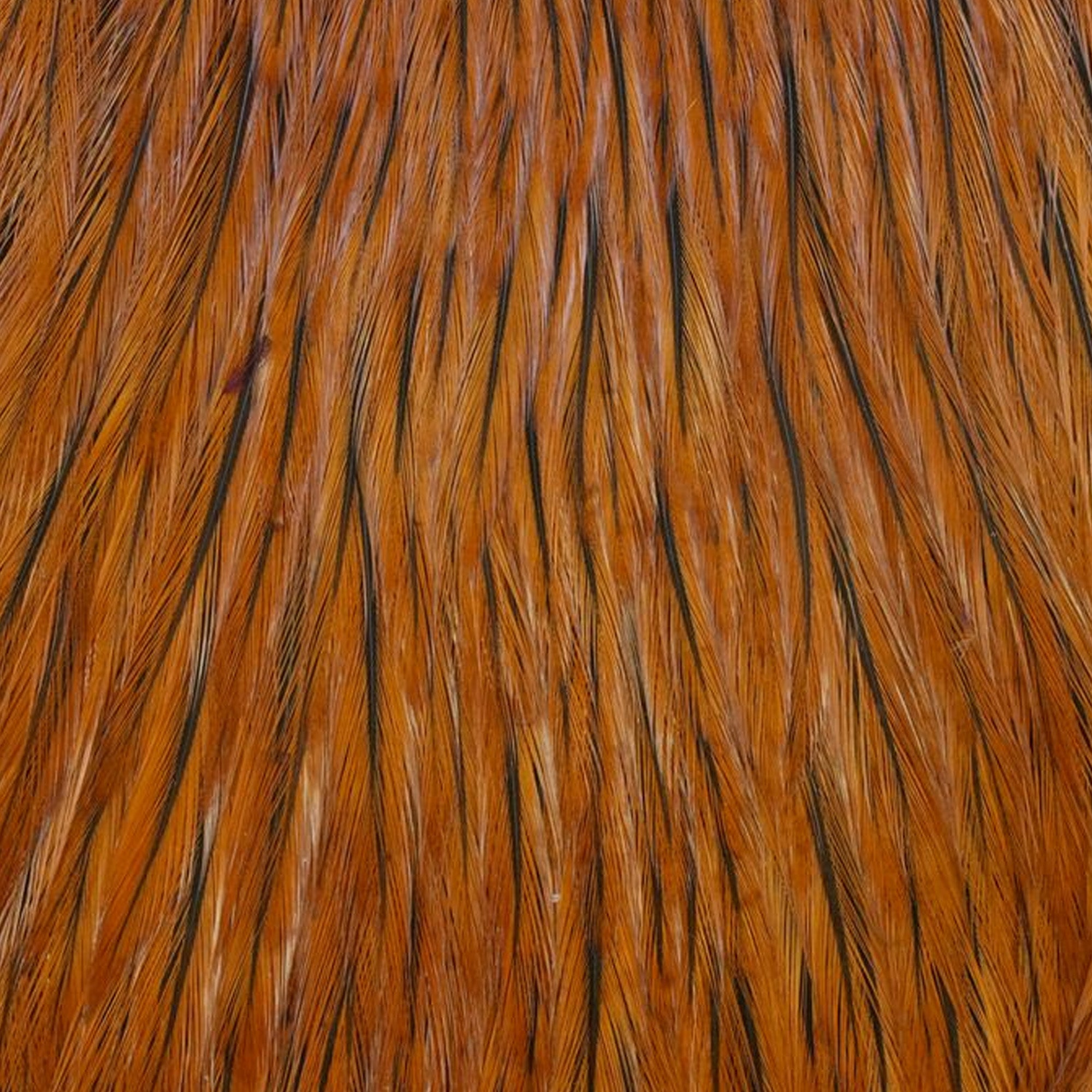 American Rooster Cape - Badger