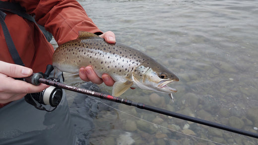 GoFishing Venator – fordi vi altid vil mere og bedre.