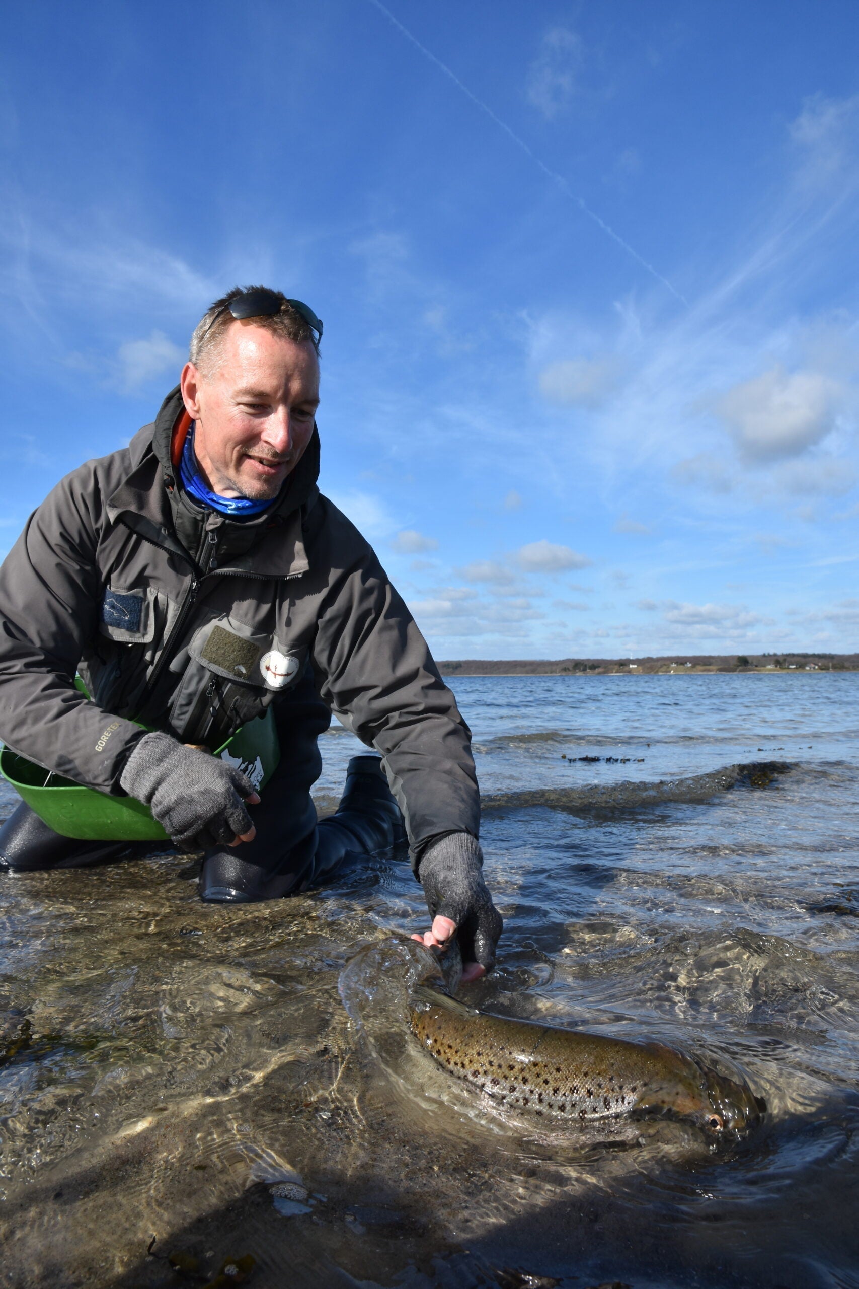 Børsteorme og overspringere